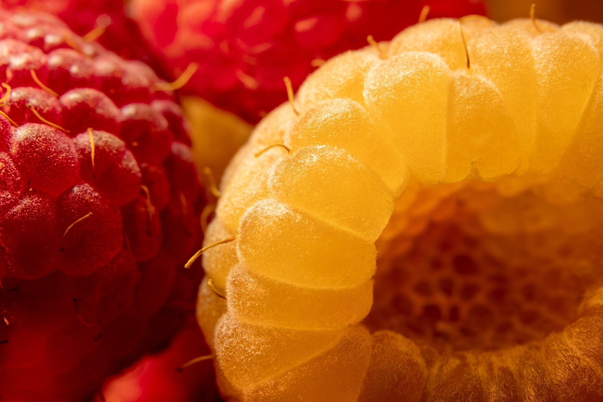 Raspberries Delicious Portal to Shining Good Health